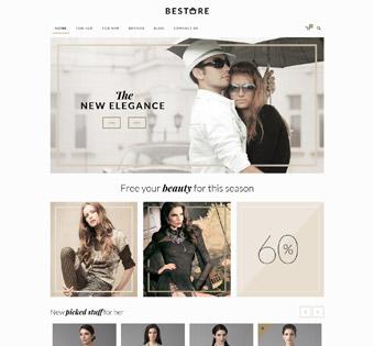 Website Design Theme Samples 71